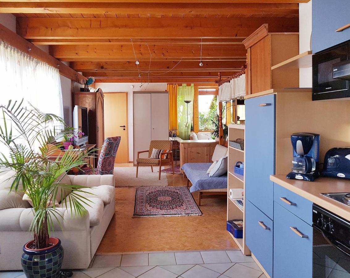 Zentrale Ferienwohnung Auf Dem Schoenen Hunsrueck Halsenbach Exterior photo
