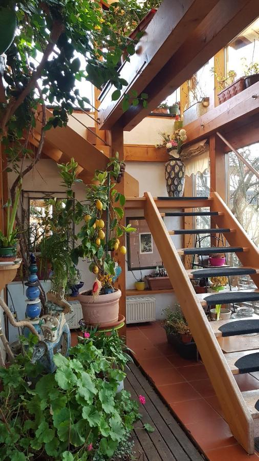 Zentrale Ferienwohnung Auf Dem Schoenen Hunsrueck Halsenbach Exterior photo